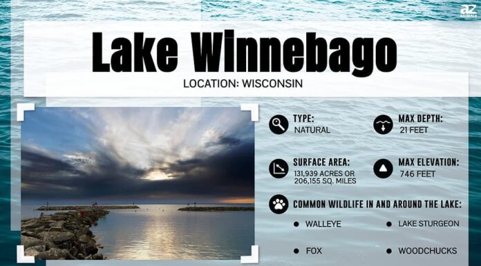 Quanto è largo il lago Winnebago del Wisconsin nel suo punto più largo?
