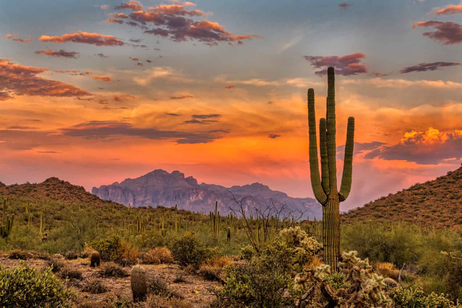 Tramonto nel deserto di Sonora vicino a Phoenix, Arizona