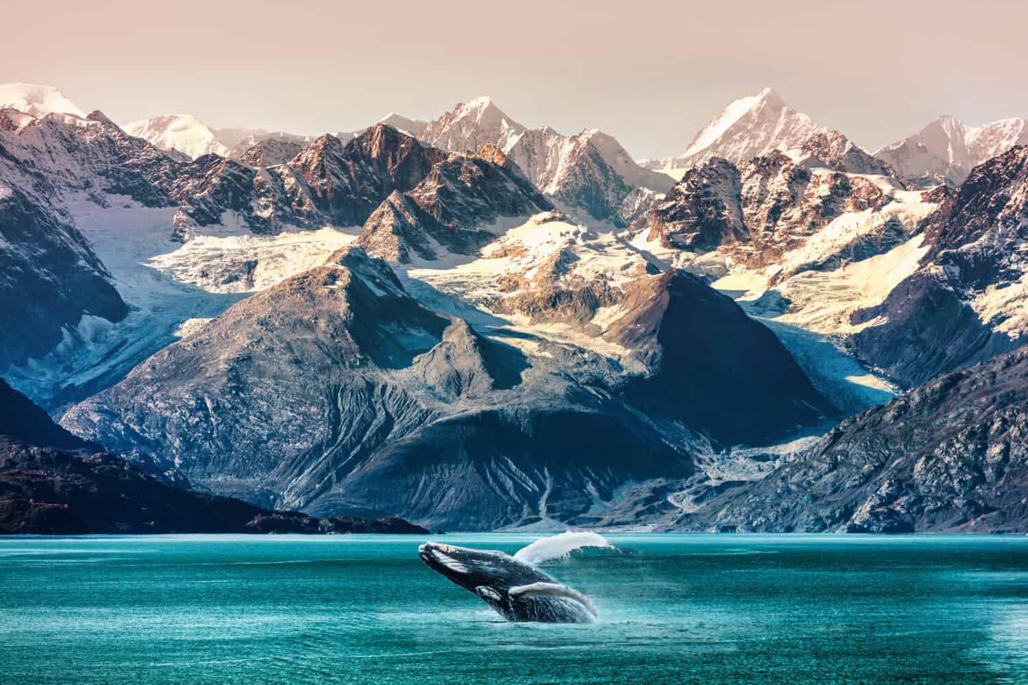 Escursione in barca per l'avvistamento delle balene in Alaska.  Concetto di crociera di viaggio di lusso con paesaggio della catena montuosa del passaggio interno.