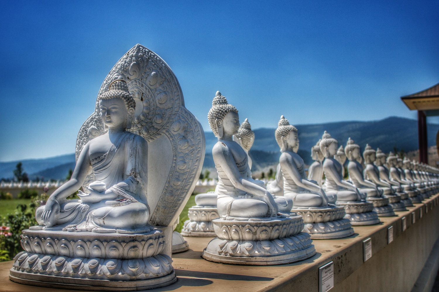 Ewan Giardino dei Mille Buddha, Arlee, MT.