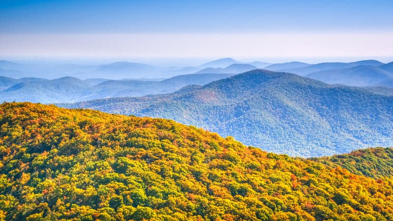 Appalachia, montagne di Blue Ridge, nebbia, foresta, veduta dall'alto