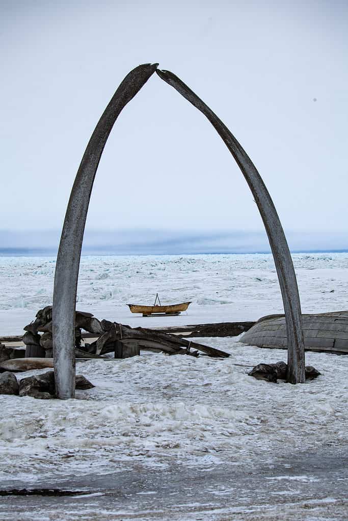 Ossa di balena a Utqiagvik, Alaska