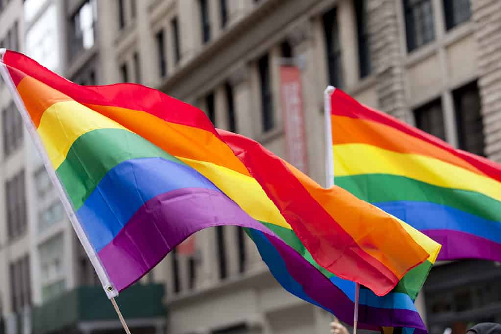 Parata del Pride di New York City - Bandiere