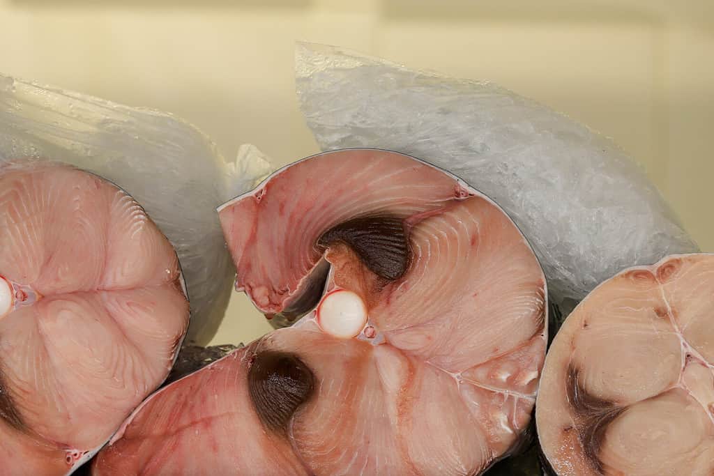 Bistecche di pesce spada fresche congelate sul ghiaccio in un mercato del pesce.