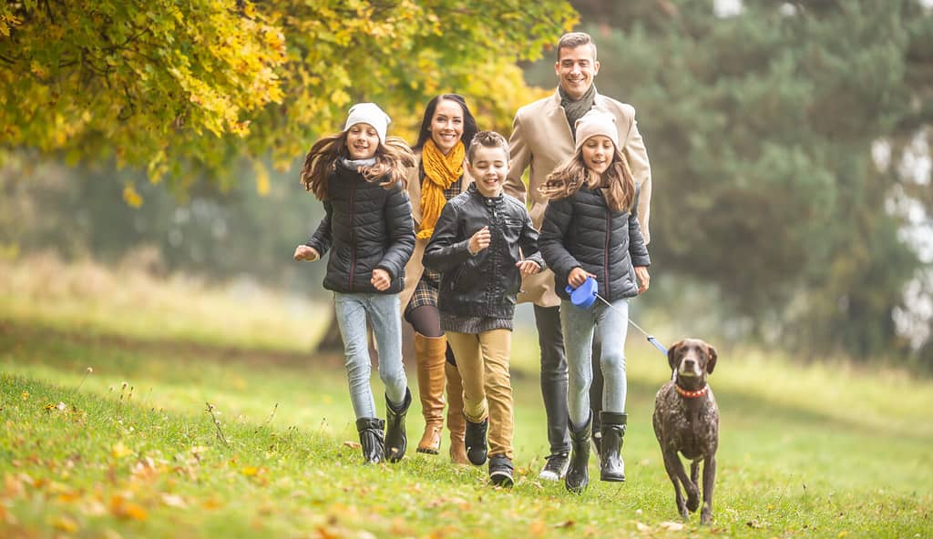 I bambini corrono con i genitori e un cane da punta tedesco a pelo corto all'aperto in una giornata autunnale.