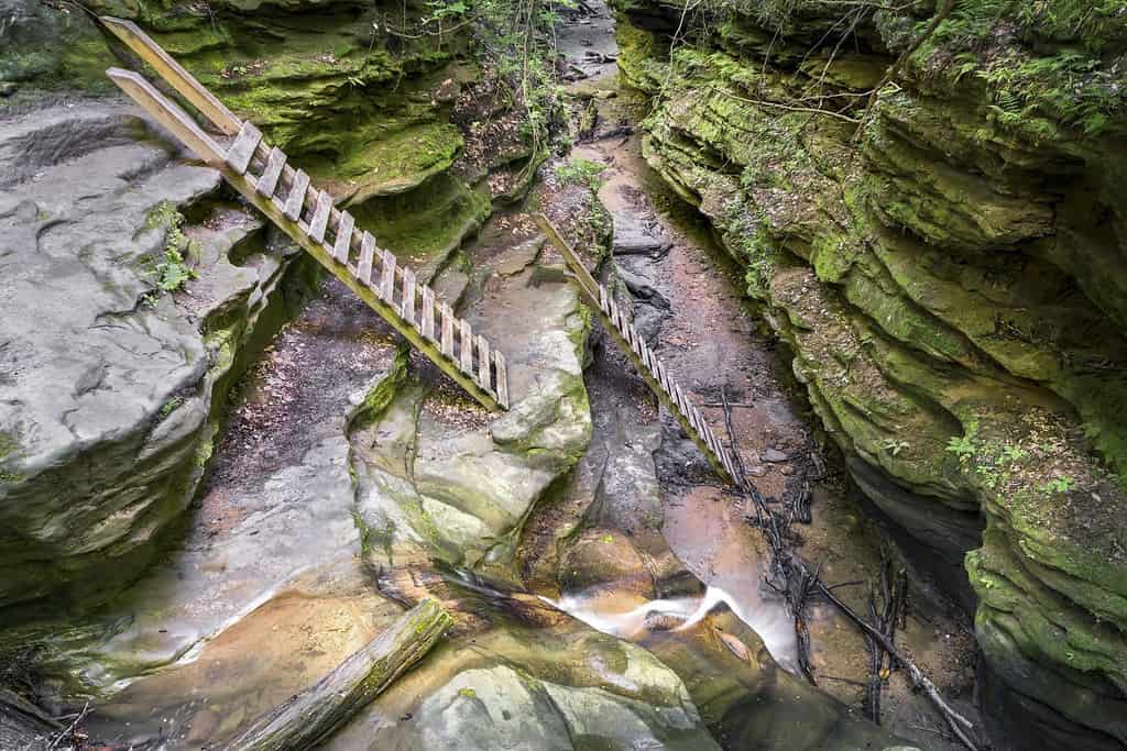 Le scale fanno parte del percorso da decenni a Bear Hollow nel Turkey Run State Park dell'Indiana.