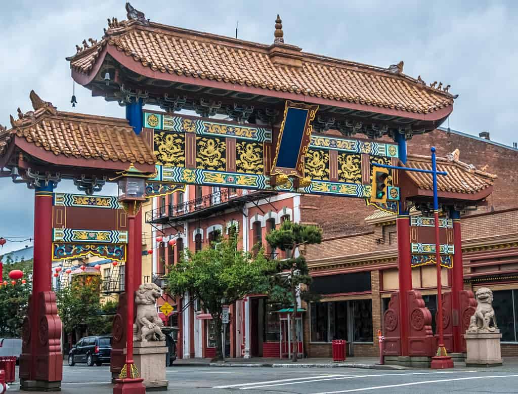 Chinatown a Victoria, Isola di Vancouver, Columbia Britannica, Canada.  La Chinatown più antica del Canada e la seconda più antica del Nord America dopo quella di San Francisco.