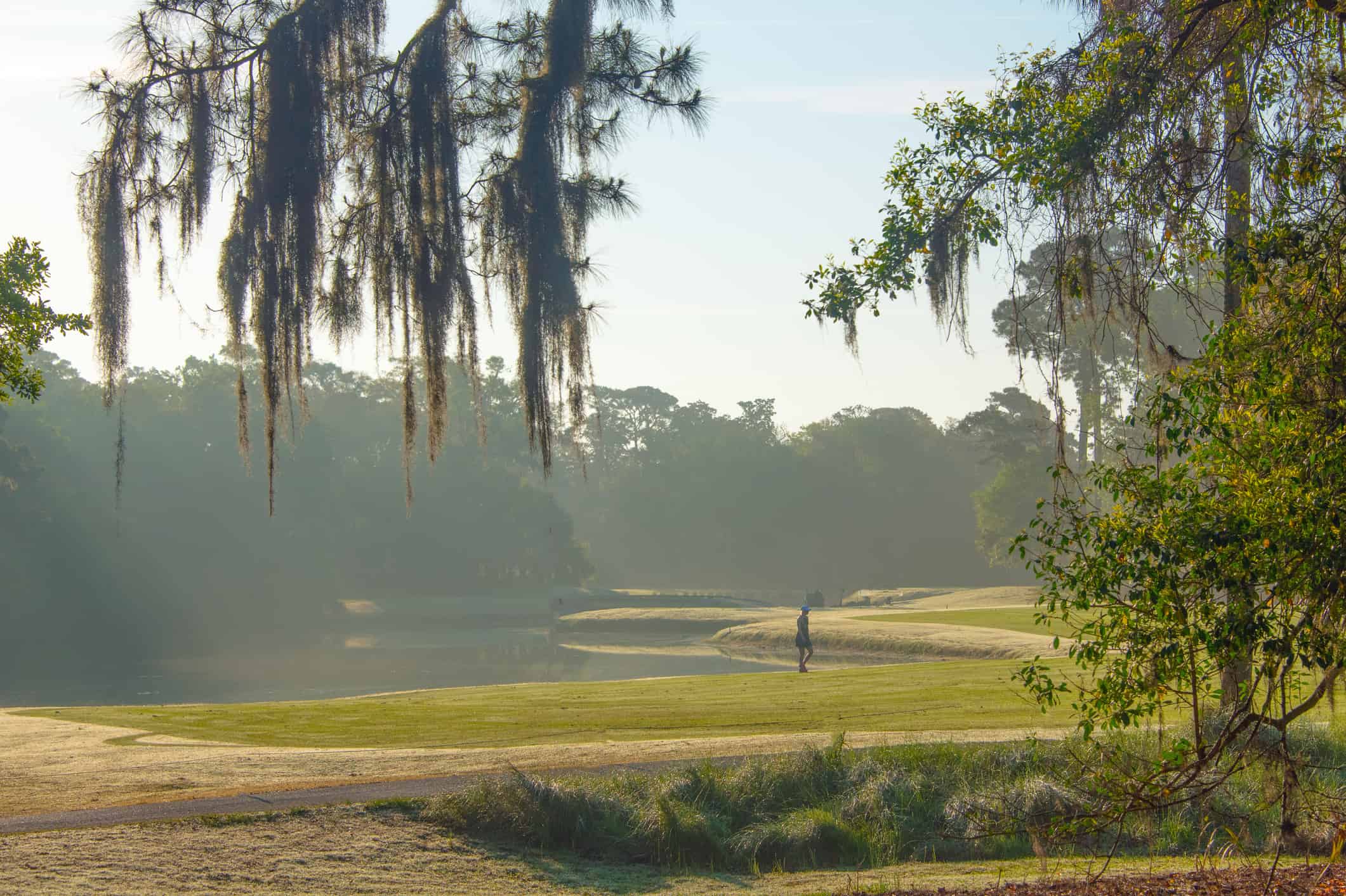 Hilton Head, Carolina del Sud, Bellezza naturale, Immagine a colori, Nebbia