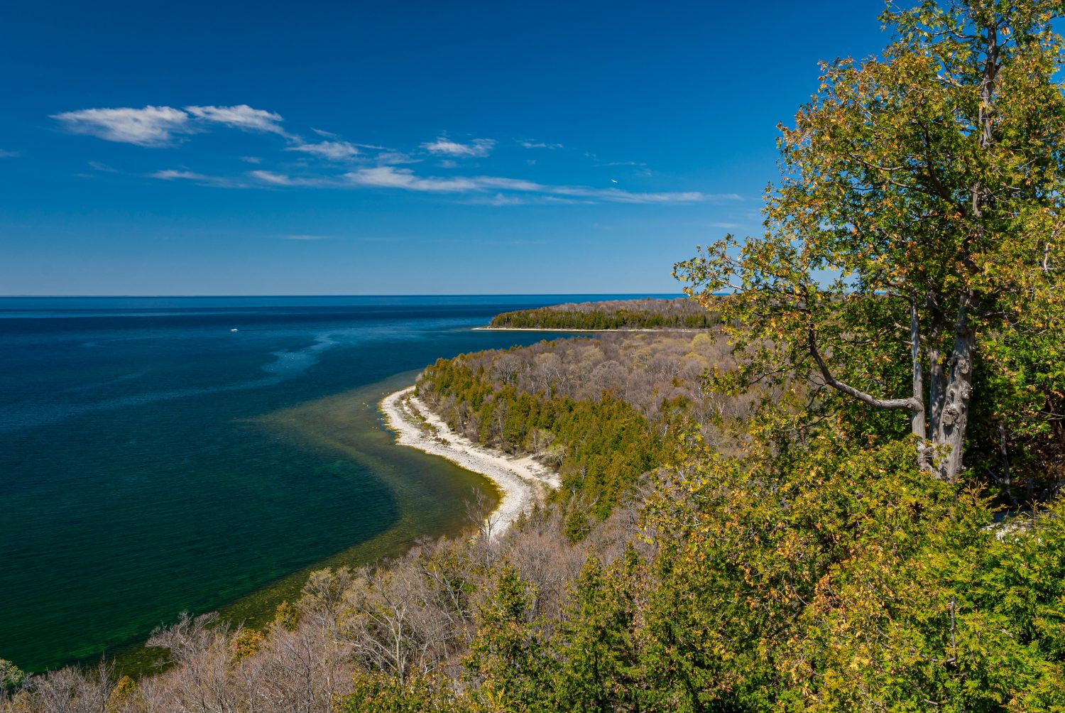 La Green Bay, la riva e la scogliera del Lago Michigan mostrano segni di germogliamento primaverile al Peninsula State Park, Door County, Wisconsin