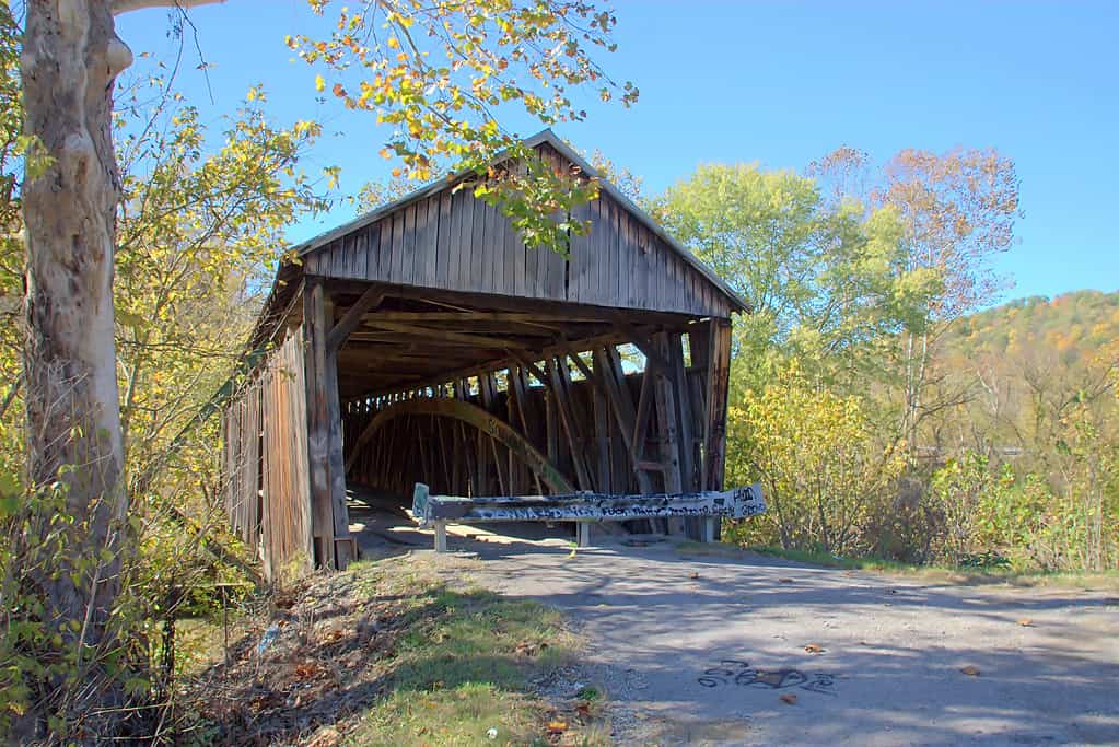 Ponte coperto di Cabin Creek, contea di Lewis, Kentucky