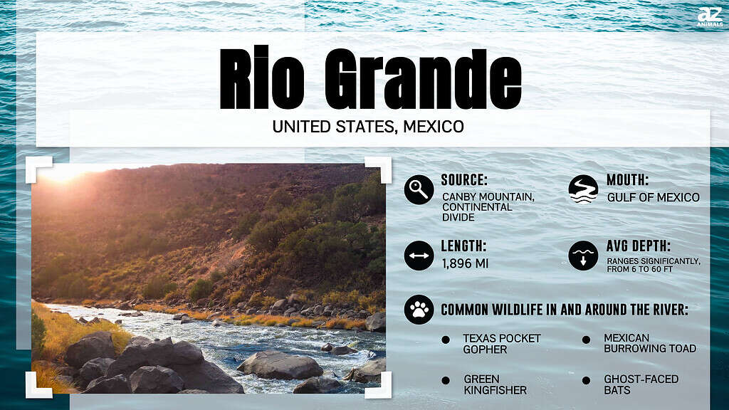 Infografica sul fiume Rio Grande