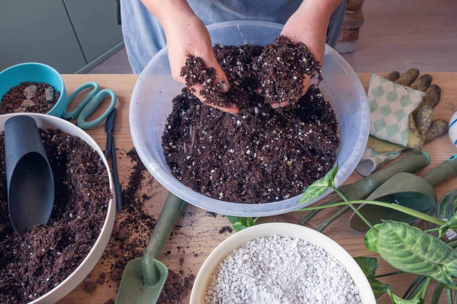 Cura delle piante in vaso da interno in primavera.  Una donna caucasica che mescola il terreno vegetale con la perlite nel contenitore.  Vista dall'alto.