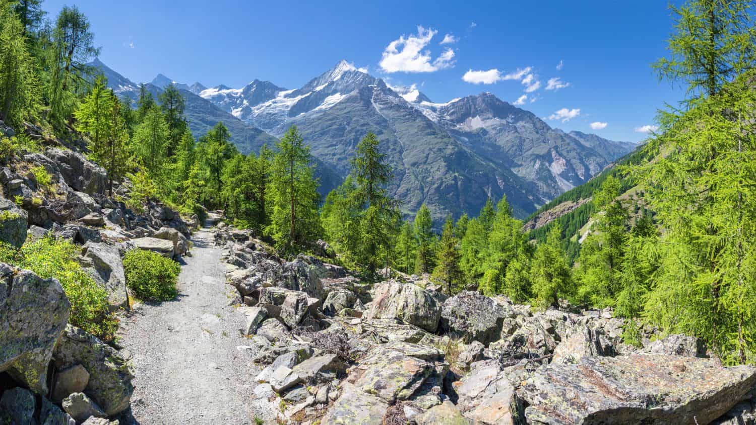 Le cime delle Alpi Vallesi: Bishorn, Weisshorn, Schalihorn e Rothorn sopra la valle Mattertal