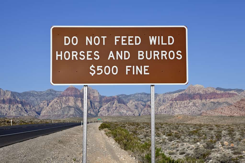 Non dare da mangiare al segno dei cavalli selvaggi