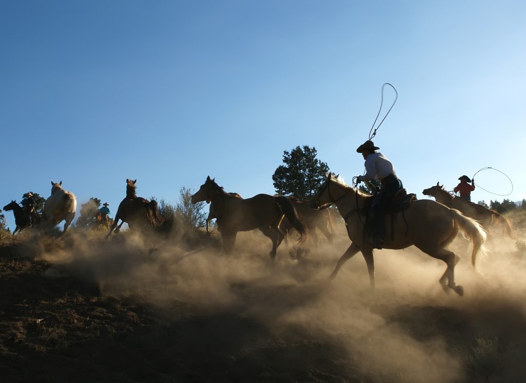 Cowboy e cavalli sotto il grande cielo azzurro