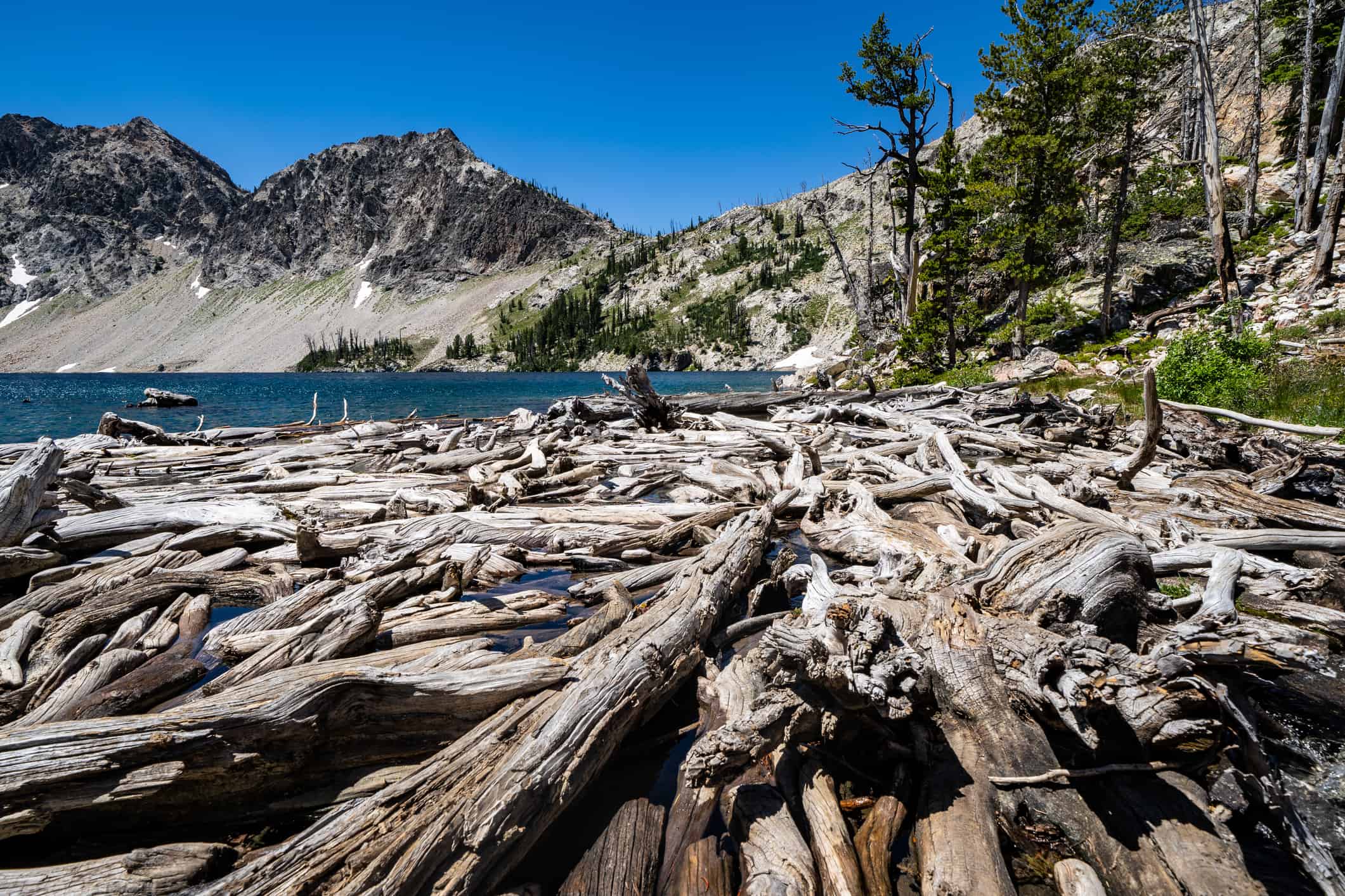 Lago a dente di sega nella catena montuosa a dente di sega nella foresta nazionale di Salmon-Challis vicino a Stanley Idaho.  Registri in primo piano