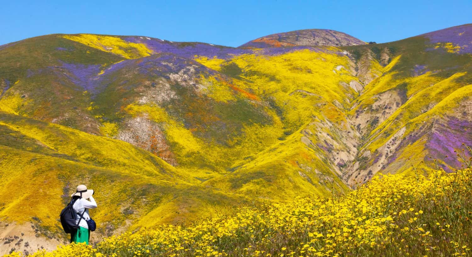 Guardando oltre, la pianura di Elkhorn, dalla cresta del Temblor;  Carrizo Plain super, fiorito;  Cupola arancione;  Collina arancione;  Sedimento arancione, presso Soda Lake;  Panorama di candele nel deserto, lungo Tembloe, montagne;