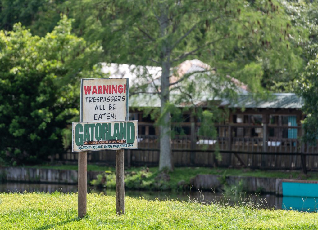 Gatorland a Orlando, in Florida, possiede 2 alligatori leucistici e 3 albini.