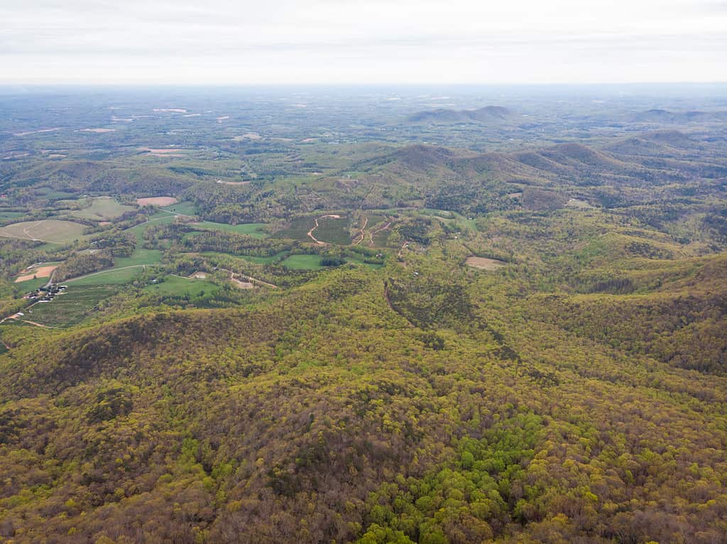 Vista dalla Fisher's Peak Mountain sul confine della Carolina del Nord, Virginia in primavera