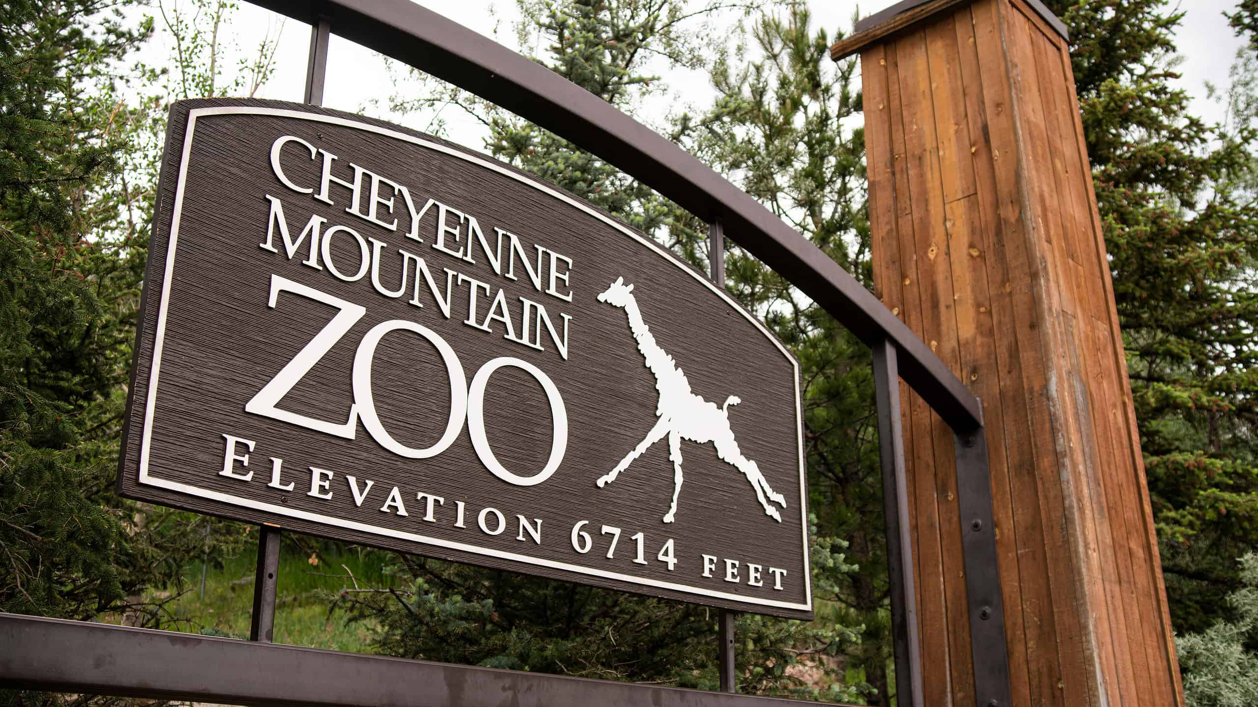Il Cheyenne Mountain Zoo è lo zoo più alto degli Stati Uniti.