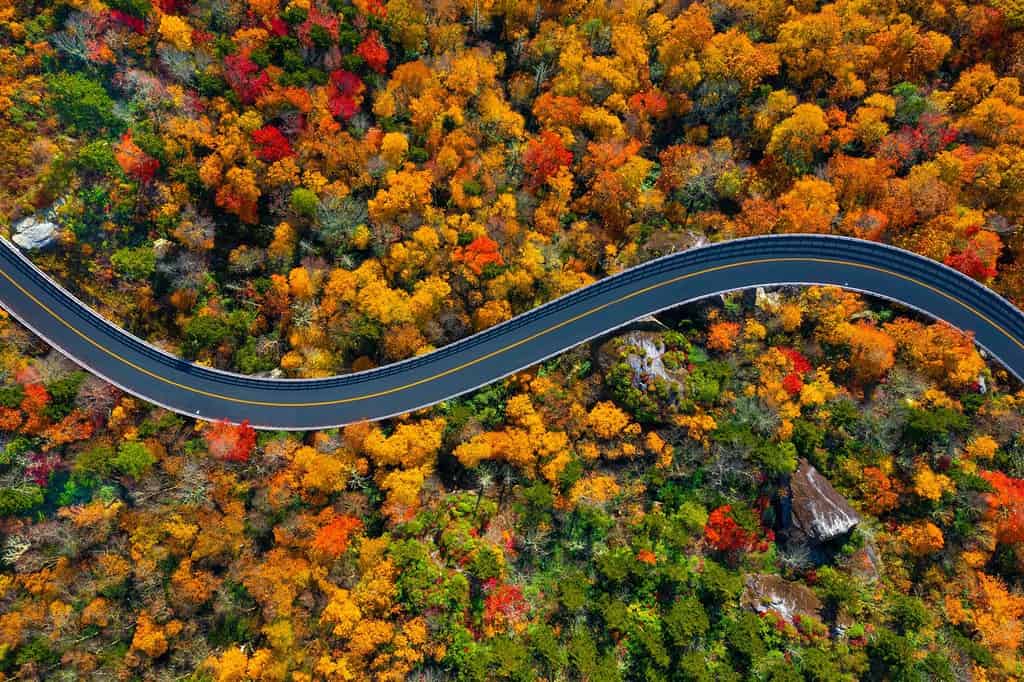 Strada attraverso le montagne della Blue Ridge Parkway della Carolina del Nord durante l'autunno.