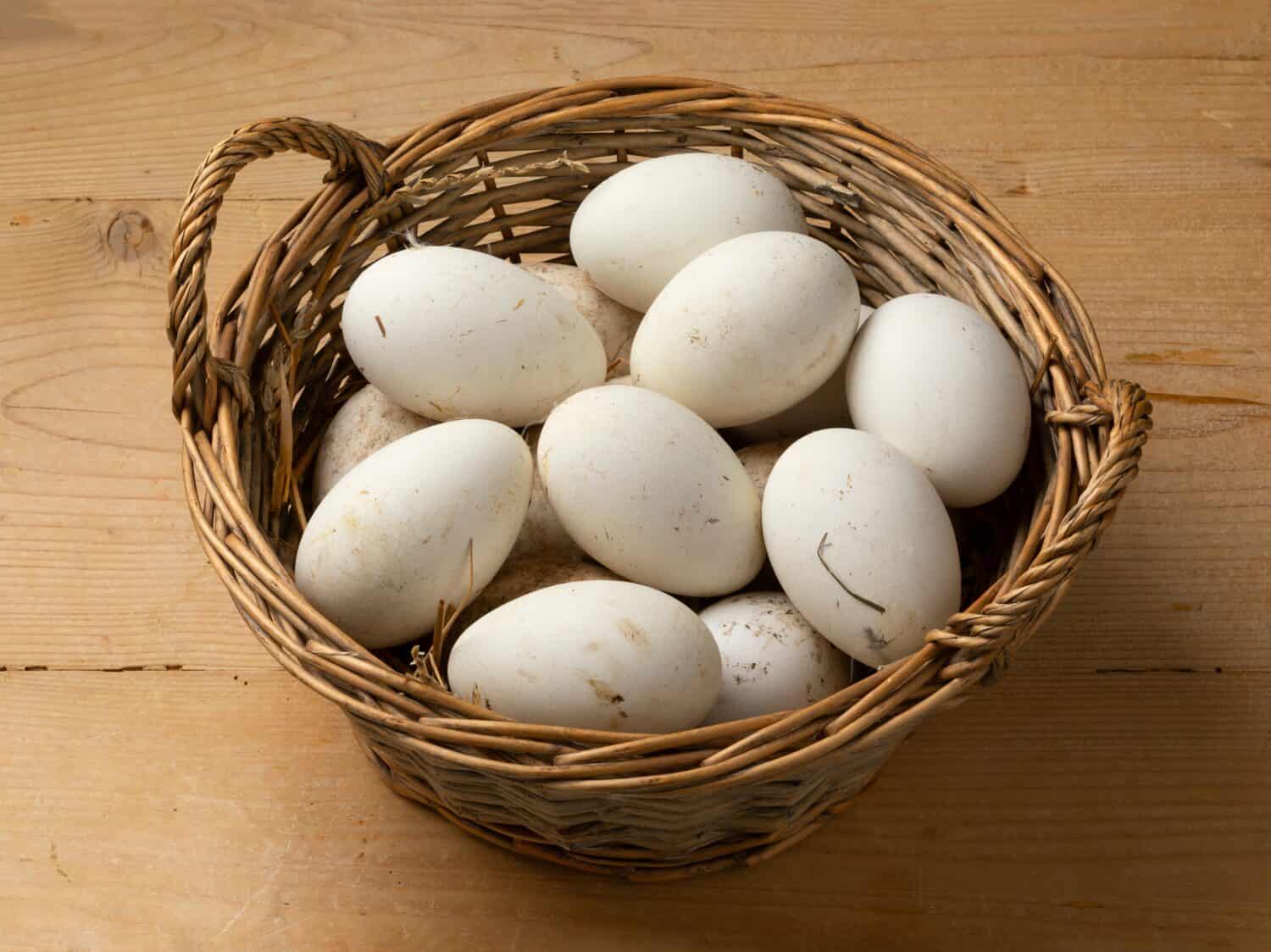 Cestino con grandi uova d'oca bianche appena raccolte da vicino