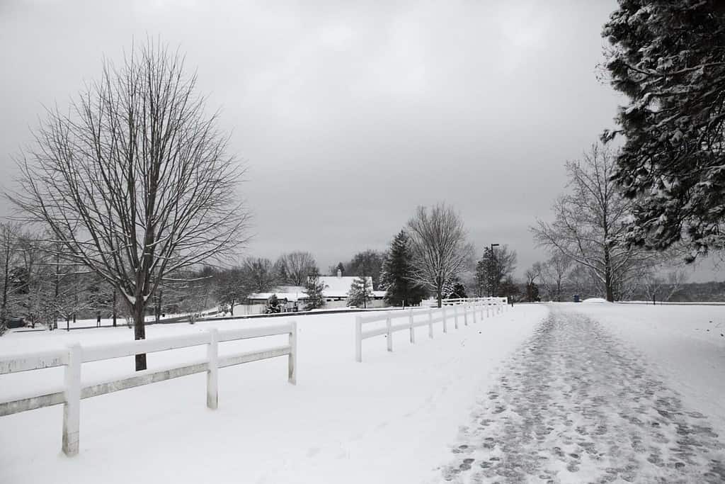 Città e campagna, Missouri, Stati Uniti.  25 dicembre 2010. Sentieri innevati in inverno