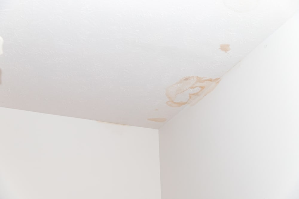 Macchie sul soffitto e sulle pareti dovute a perdite d'acqua