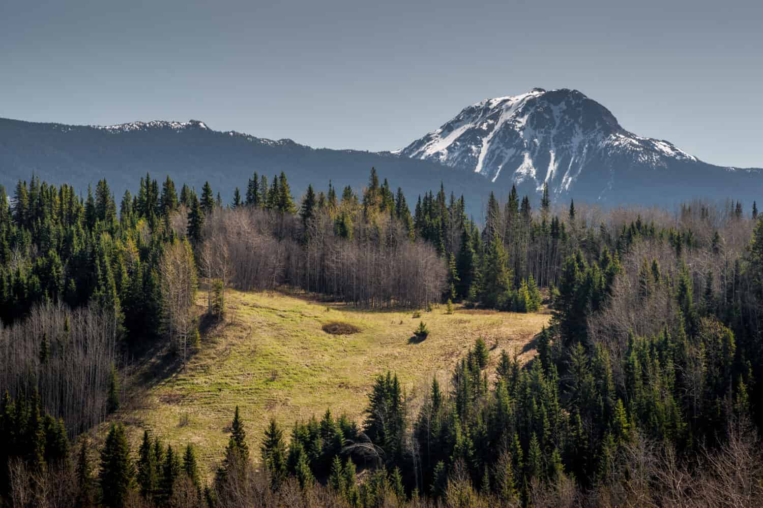 Primavera nelle montagne settentrionali e nella foresta boreale del Canada BC.