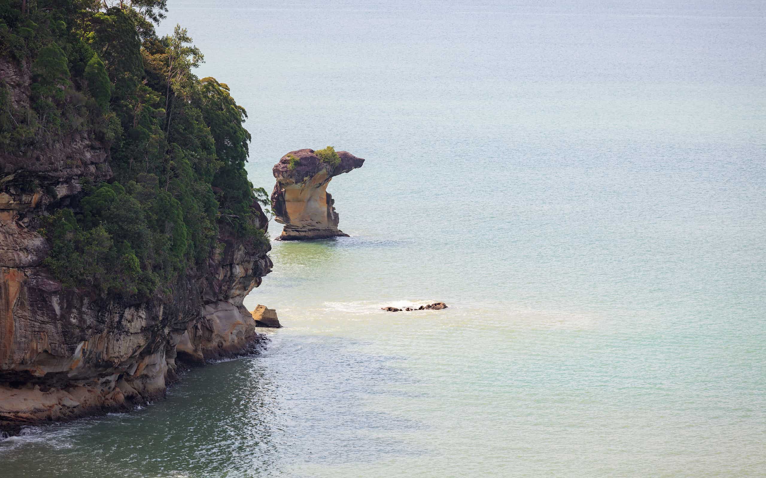 Formazione rocciosa dello stack del mare nel parco nazionale di Bako Malesia