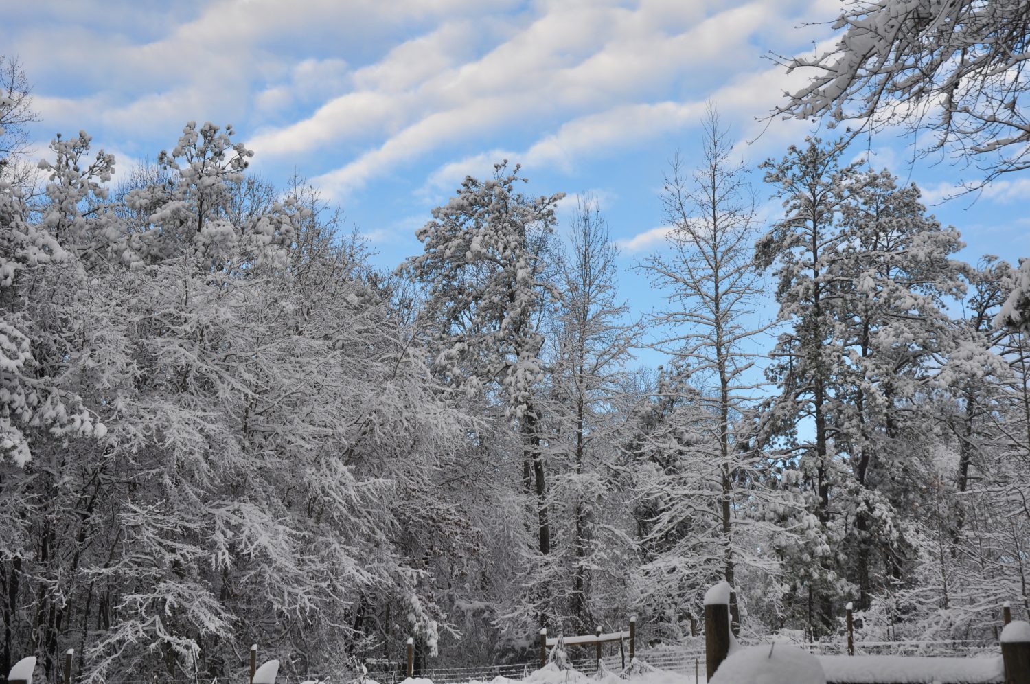 Giornate nevose nella Georgia occidentale degli Stati Uniti