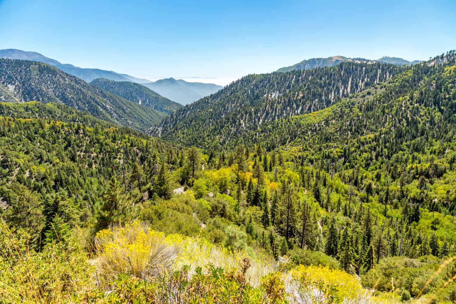 La vista lungo la Big Bear Creek Valley nella foresta nazionale di San Bernardino da Butler Peak