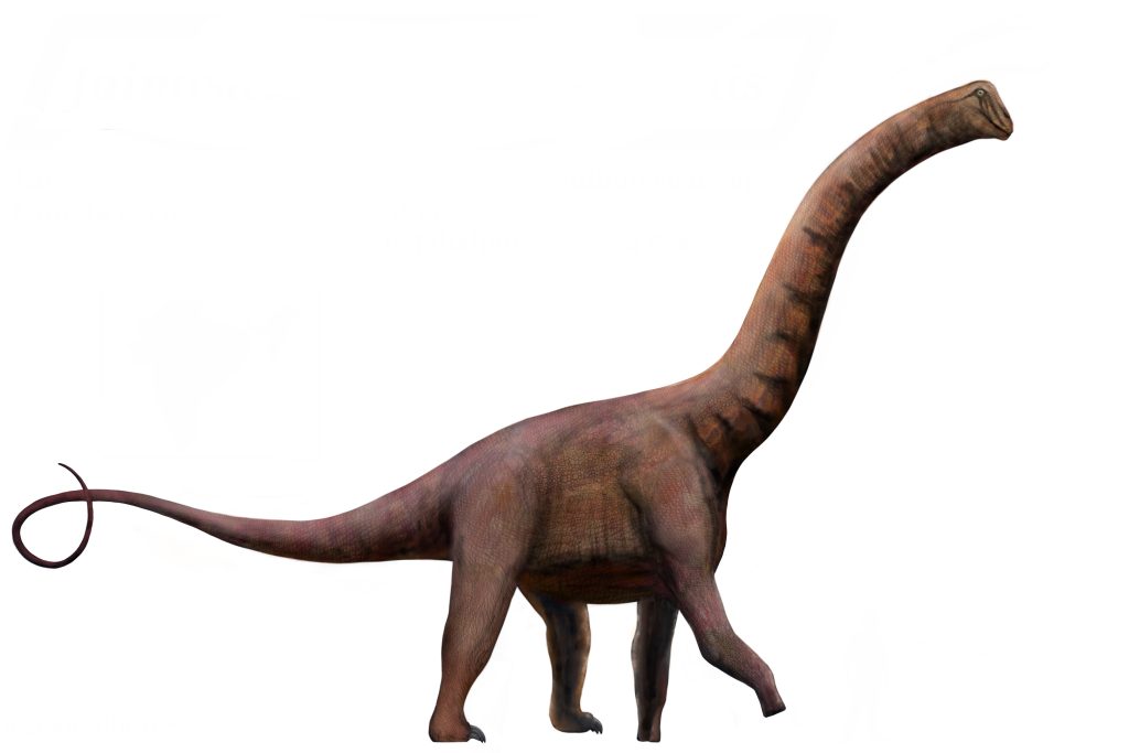Jainosaurus septentrionalis - dinosauri che iniziano con J