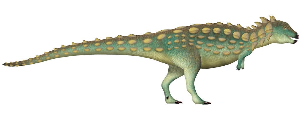 Jakapil kaniukura - dinosauri che iniziano con J