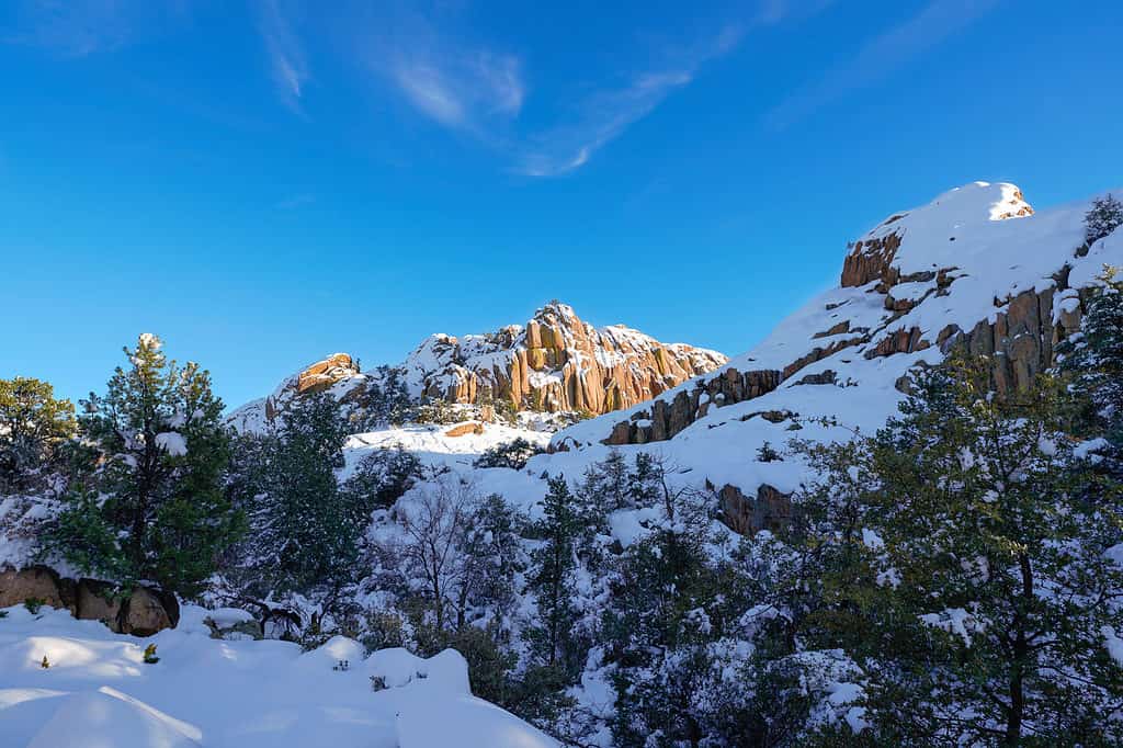 Cime delle montagne coperte di neve in Arizona