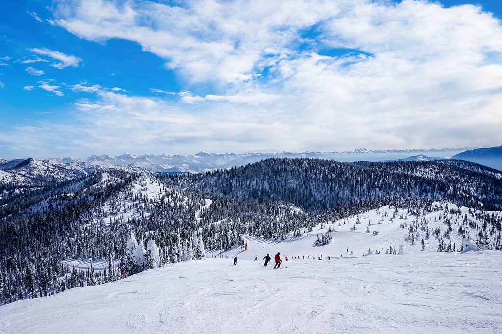 Località di soggiorno della montagna del coregone nel Montana