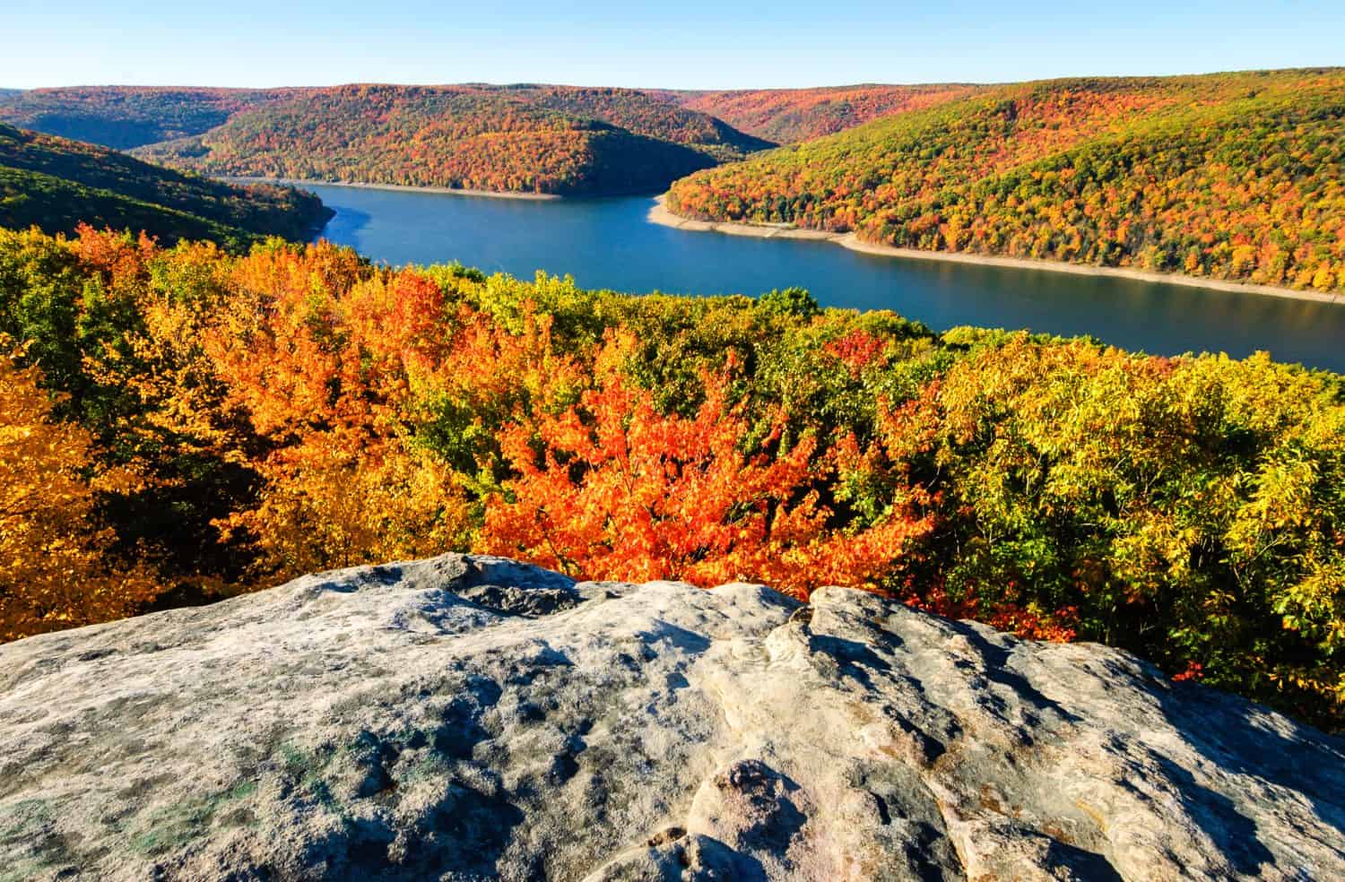 Drammatico panorama autunnale nella foresta nazionale di Allegheny 