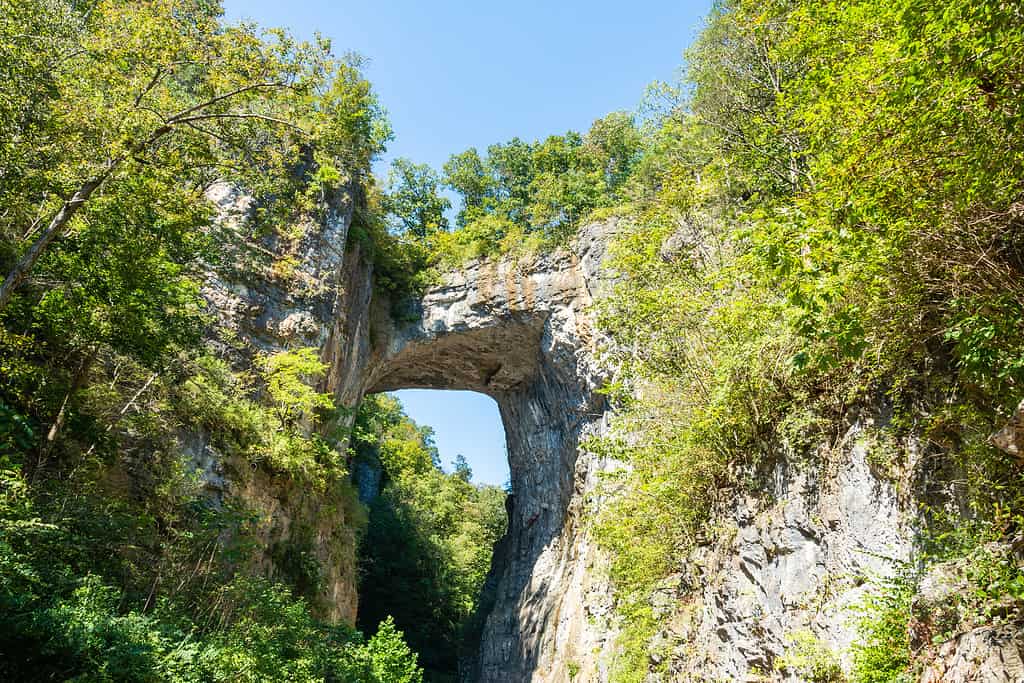 Formazione geologica del Natural Bridge nella contea di Rockbridge, Virginia