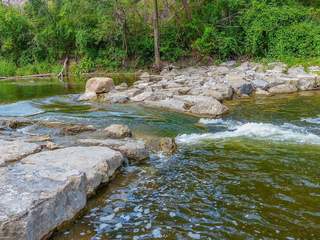 Rapide lungo il fiume Huron ad Ann Arbor - Michigan