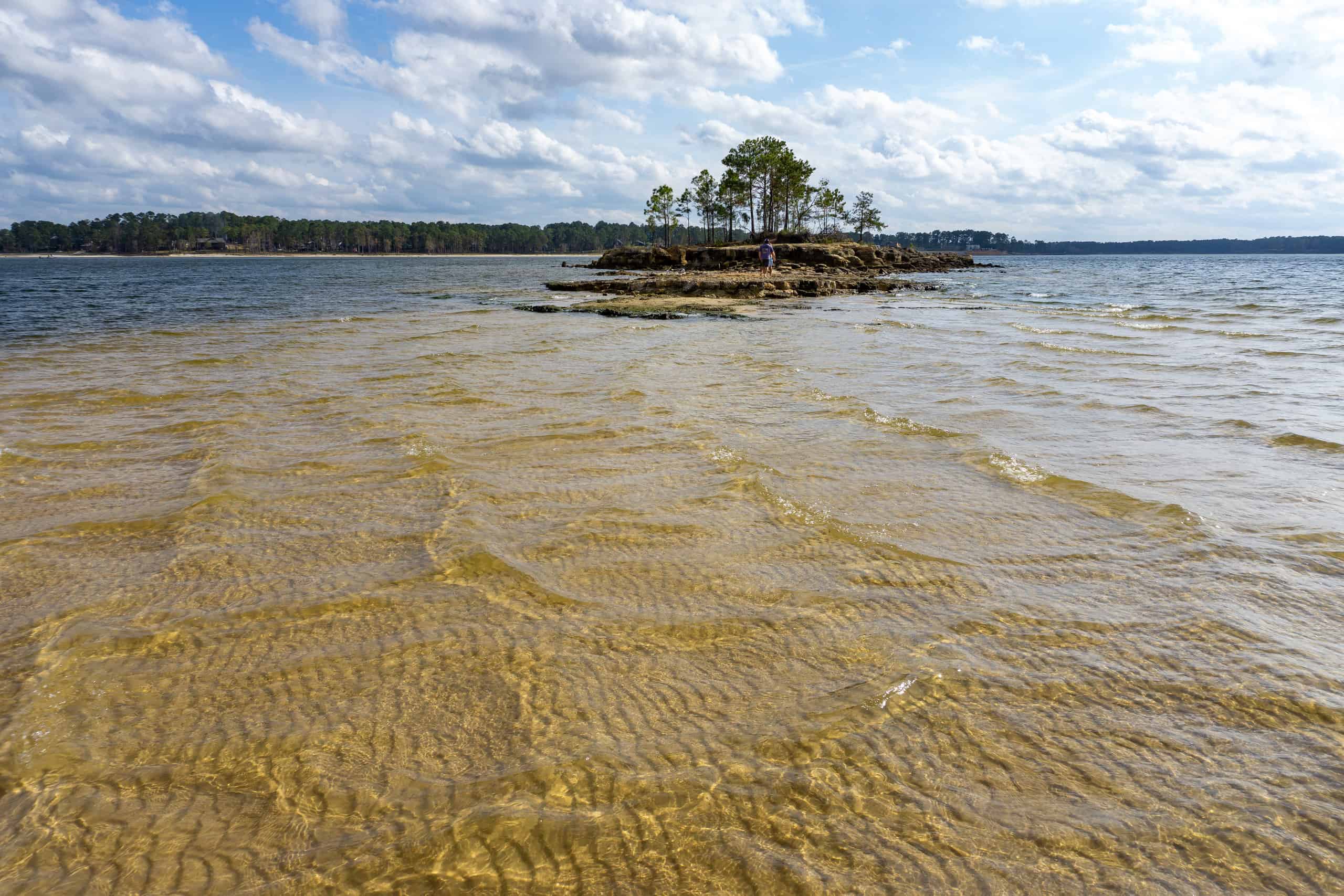 Bacino idrico di Sam Rayburn in Texas