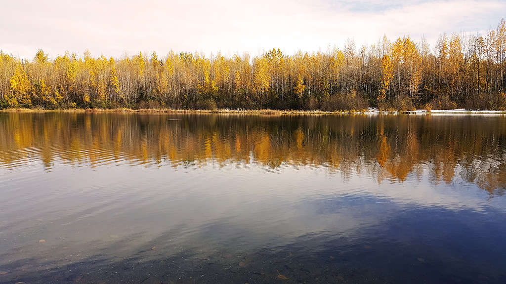 Lago Cheney, Alaska