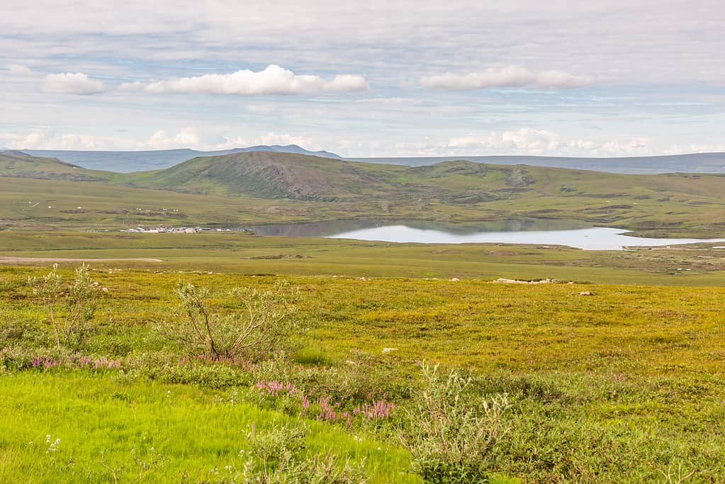 Il lago Toolik e la catena montuosa Brooks nell'Alaska settentrionale.