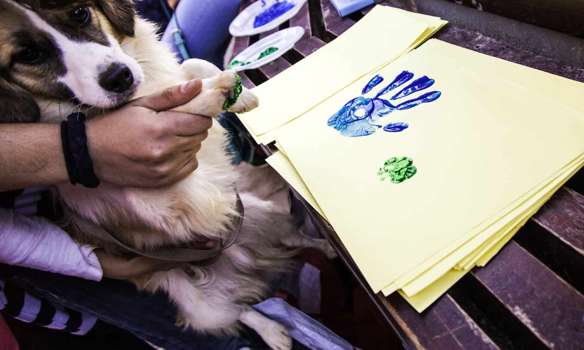 Cane di carta con impronta