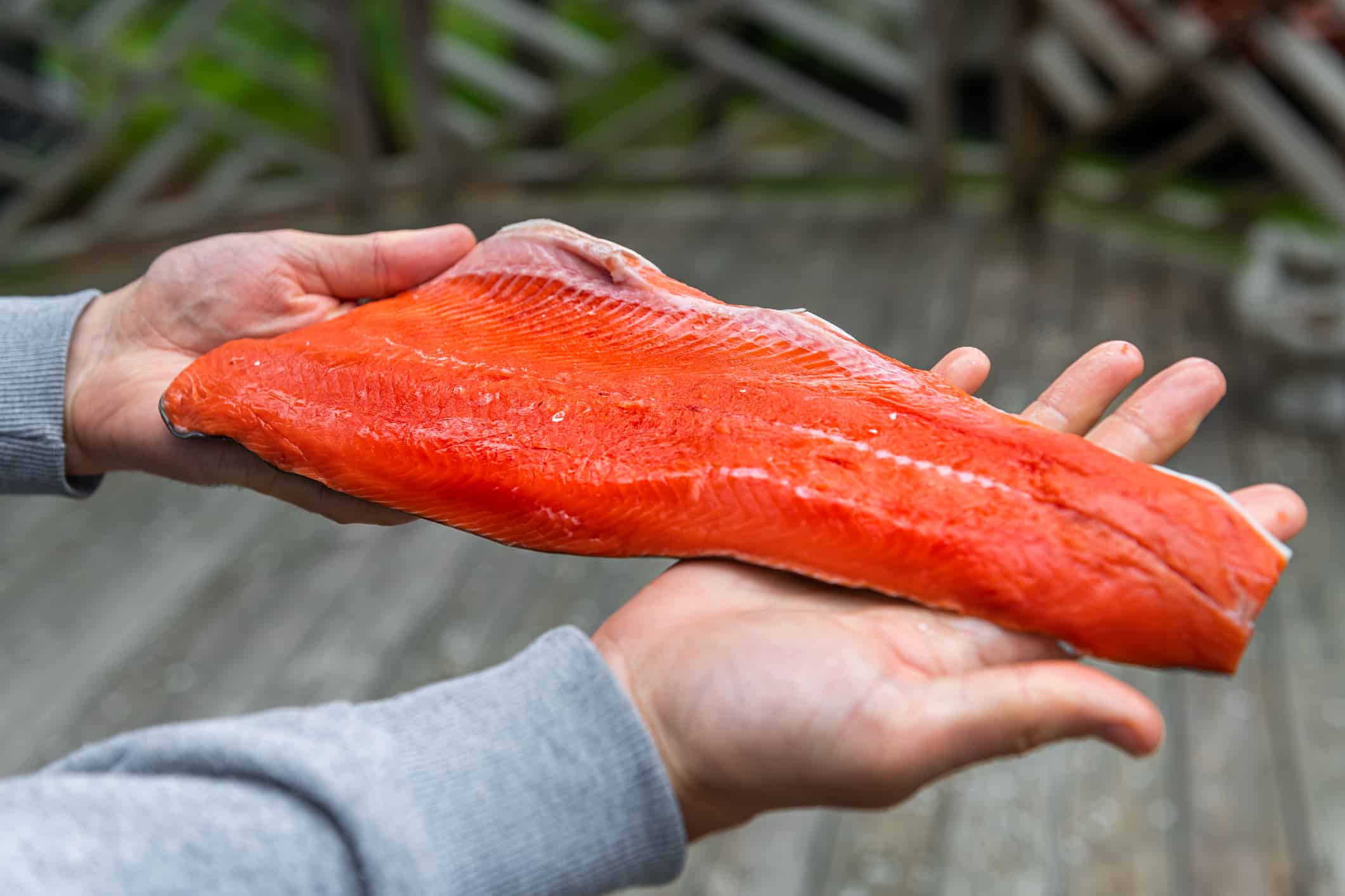 Macro primo piano delle mani dell'uomo che tengono mostrando il filetto di salmone rosso crudo precedentemente congelato acquistato al supermercato dal macellaio esterno