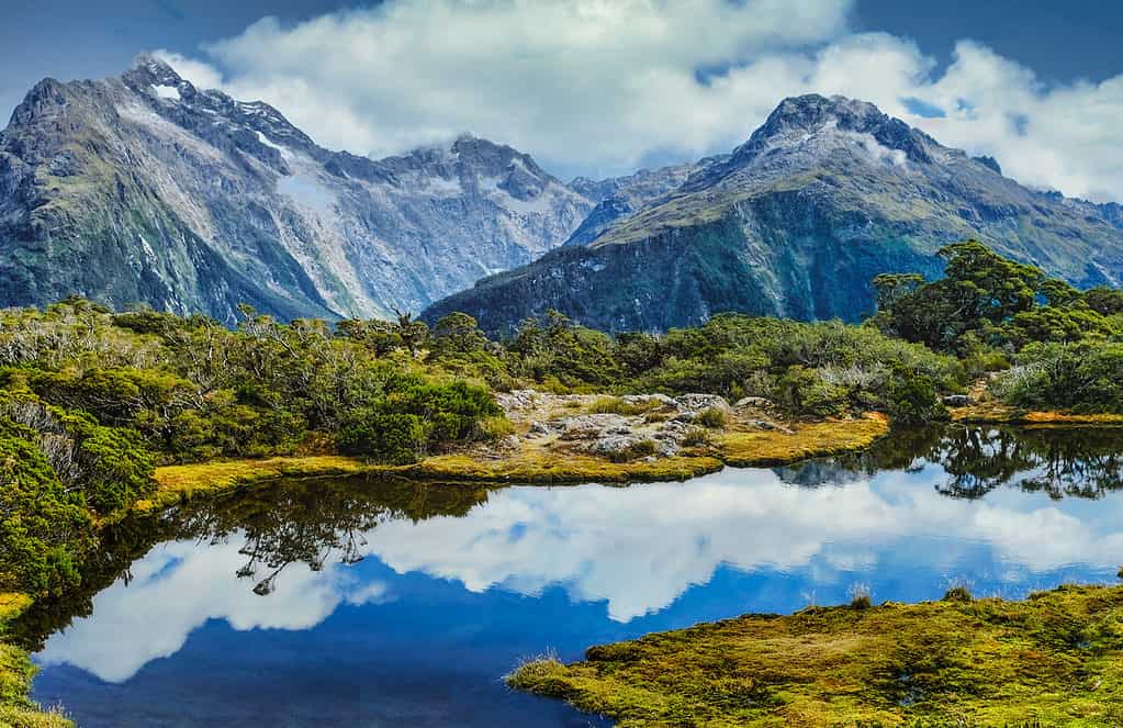 Parco nazionale del Fiordland