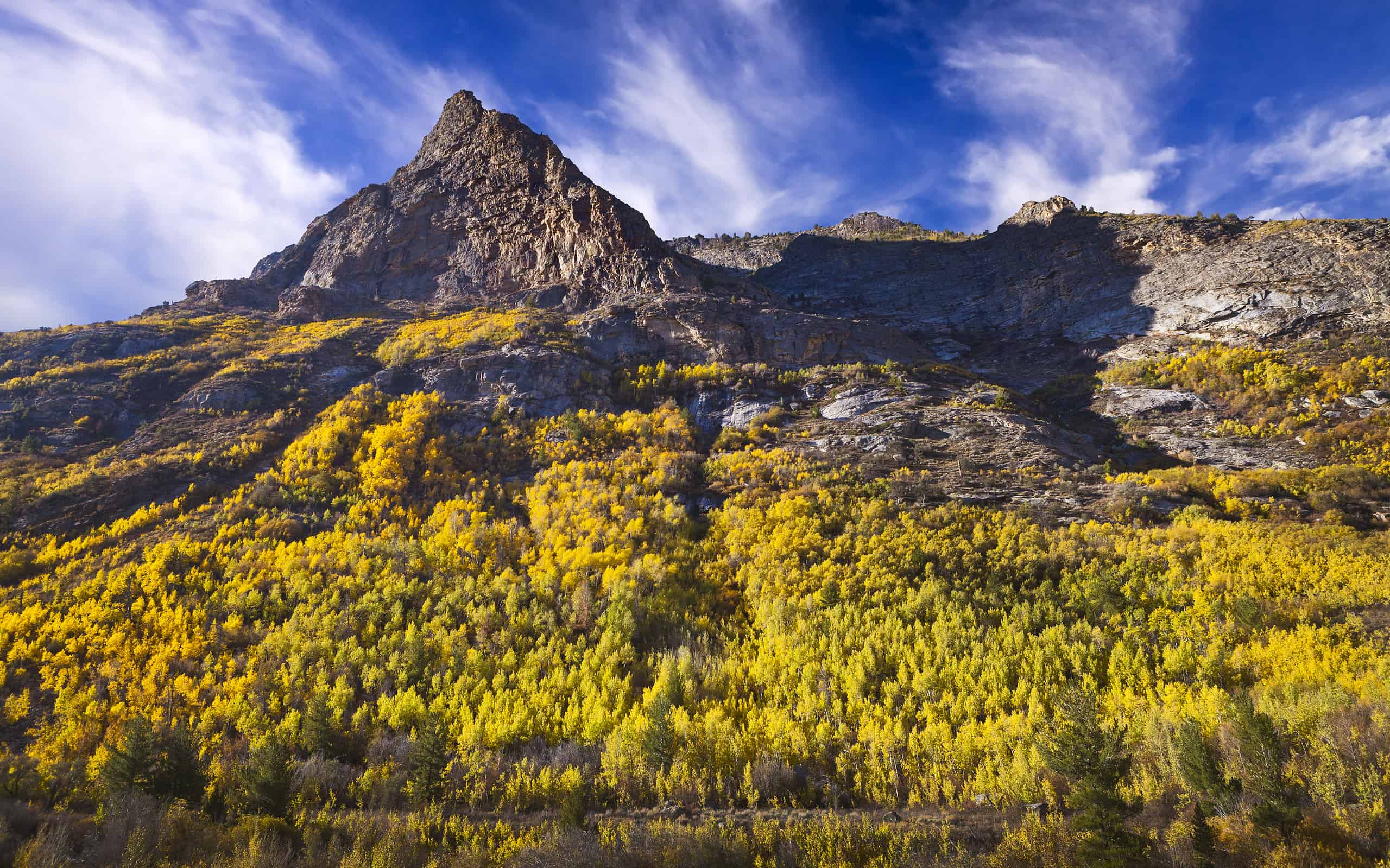 Il Lamoille Canyon è la valle più grande delle Ruby Mountains, situata nella parte centrale della contea di Elko, nella sezione nord-orientale dello stato del Nevada.  Gli alberi sono nei colori autunnali.