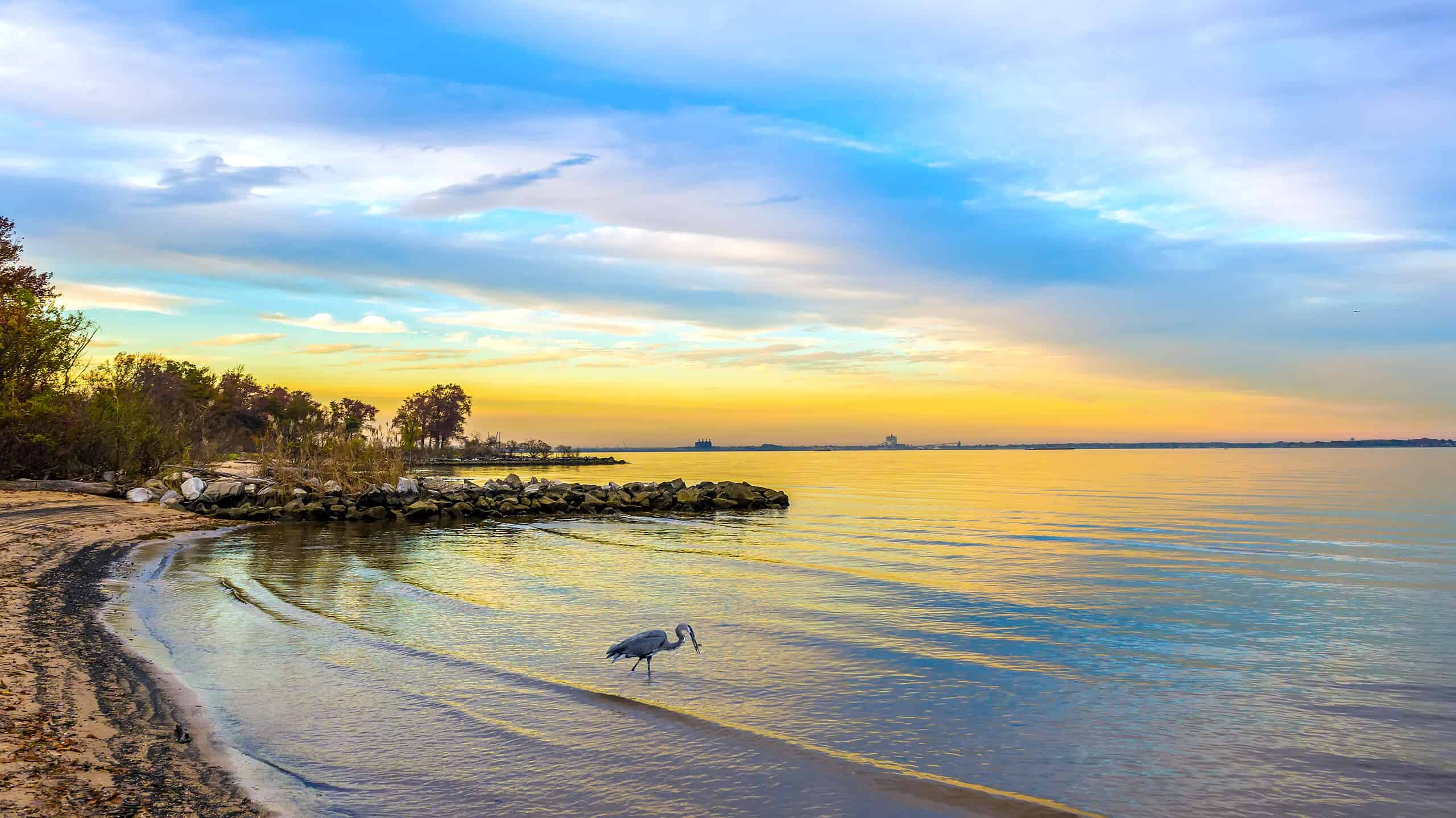 Chesapeake Bay, Maryland - Stato USA, Paesaggio, Spiaggia, Costa