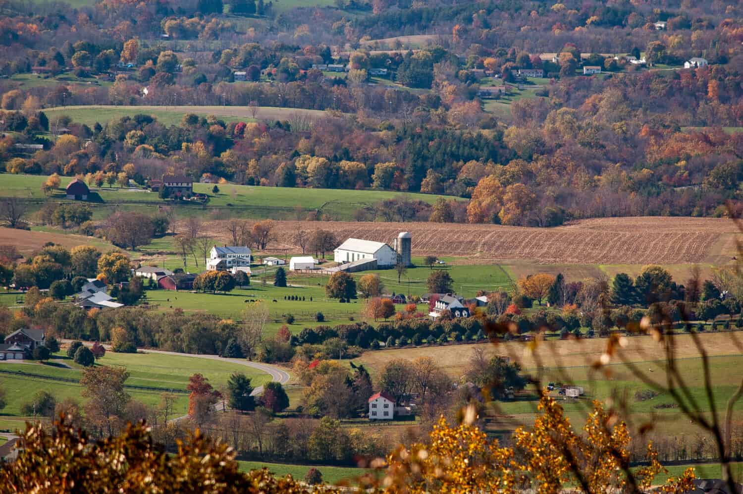 Colori autunnali nelle zone rurali di Frederick, nel Maryland