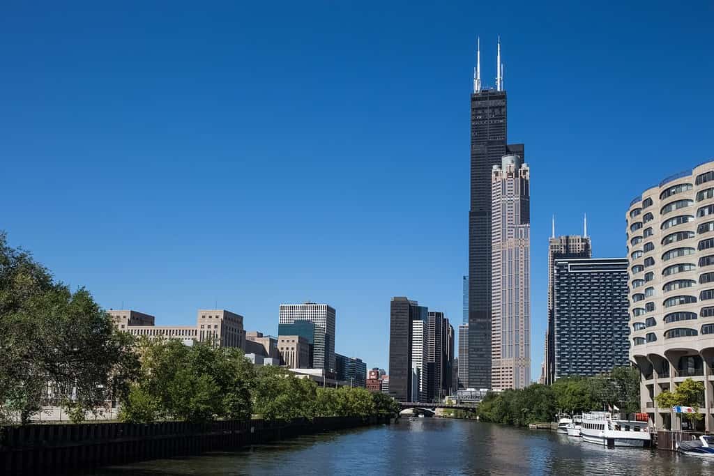 Vari grattacieli di Chicago tra cui la Willis Tower (ex Sears Tower).