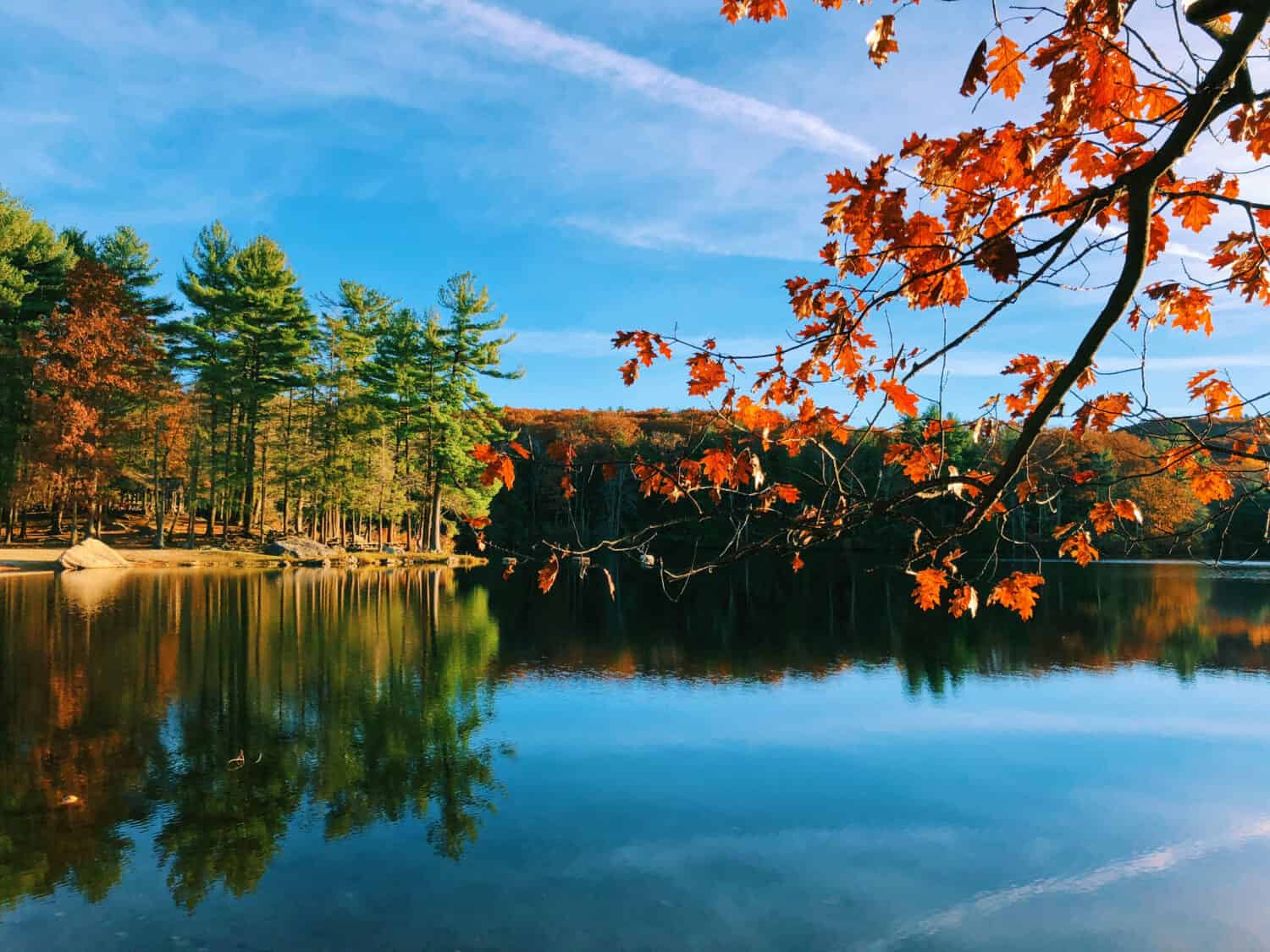 Burr Pond State Park, splendida vista autunnale sul lago con querce arancioni nel New England, Connecticut, Stati Uniti, in una giornata di sole.